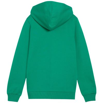 2. Puma teamGoal Casuals Hooded Kids' Sweatshirt Green 658596 05
