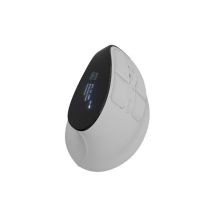 NATEC EUPHONIE PRO BT5.0 wireless mouse, 4000 DPI, quiet, programmable