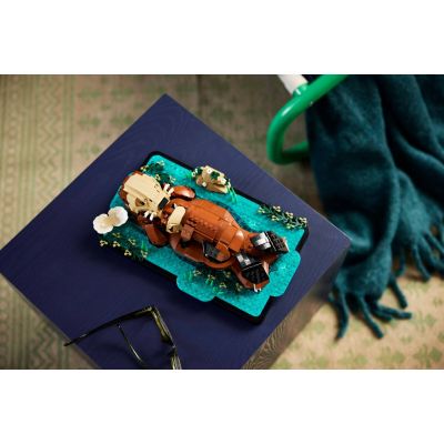 15. LEGO Ideas 21366 - Swimming Otters