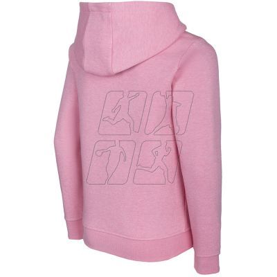 2. 4F Jr HJL22-JBLD001 56M sweatshirt