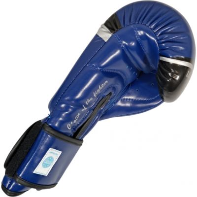 3. MASTERS RPU-FT Boxing Gloves (WAKO APPROVED)