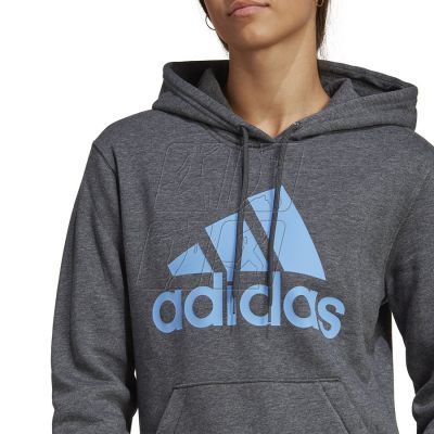 7. Sweatshirt adidas Big Logo FL R HD W IC9845