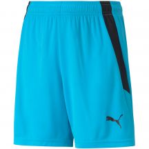 Puma teamLIGA Shorts Jr 704931 40
