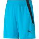 Puma teamLIGA Shorts Jr 704931 40