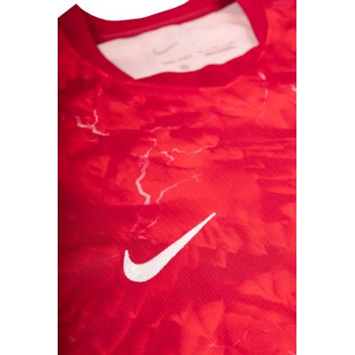 4. Nike Poland Stadium Away Jersey IO8505-625