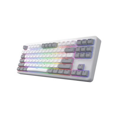 3. HATOR Rockfall 3 TKL Wireless Keyboard Universal USB + RF Wireless + Bluetooth QWERTY English White