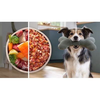 16. BOSCH MFW S650B grinder