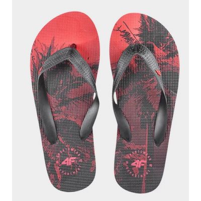 3. Flip-flops 4F Jr 4FJSS23FFLIM083 62S