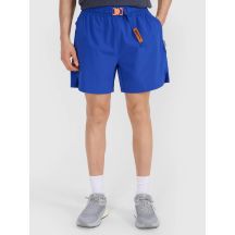 Men's casual shorts 4F 4FWSS25TSHOM533-36S