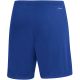 19. adidas Entrada 22 M HG6294 shorts