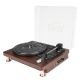 DNA TT1 turntable vinyl record player BT