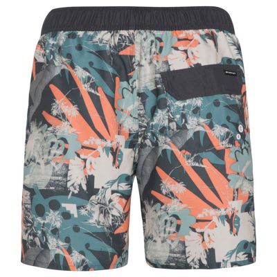 3. Protest PRTARYF beach shorts (P2710621/672)