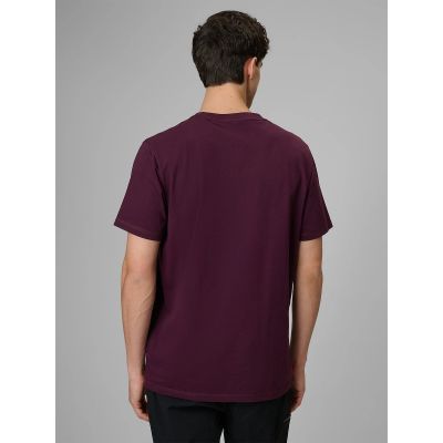 2. Men's regular printed T-shirt 4F 4FRSS26TTSHM3810-50S