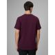 2. Men's regular printed T-shirt 4F 4FRSS26TTSHM3810-50S