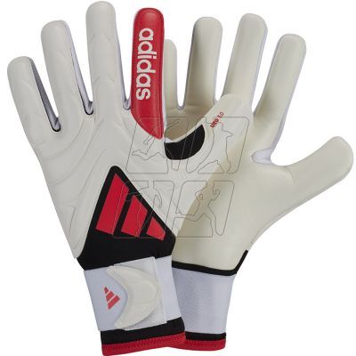 adidas Copa GL LGE M goalkeeper gloves JH3793