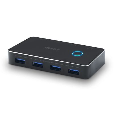 5. Lindy 43387 data switch