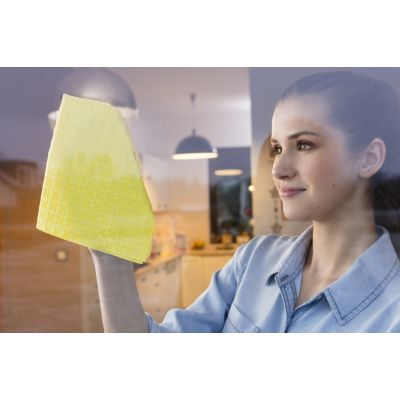 2. Vileda ACTIFIBRE window cloth 1 pc.