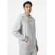 5. Helly Hansen Core Graphic Sweat Hoodie M 53924 825