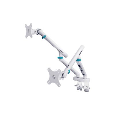 Digitus Dual Monitor Mount, 2x 35", 2x 10 kg