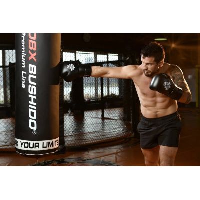 13. 10oz Boxing Gloves - Eclipse - Origin Series