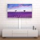 13. Techly ICA-TR47 TV or Entertainment Center Stand