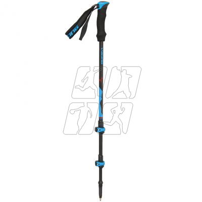 Trekking poles Viking Lost Peak 610-19-3310-16-UNI