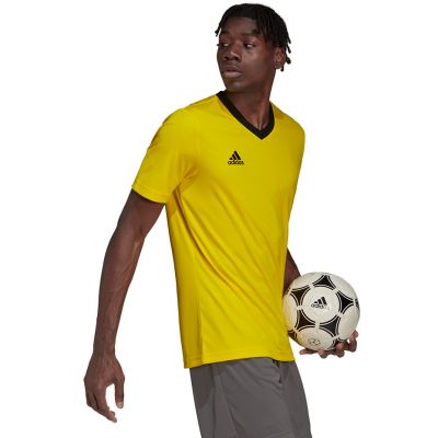 5. adidas Entrada 22 Jersey M HI2122