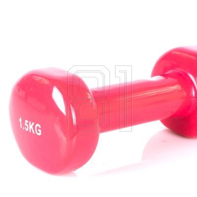 13. PROfit vinyl weight 0.5kg DK 4102