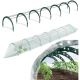 9. FLOO GREENHOUSE FOIL TUNNEL 360CM FOREST GREEN