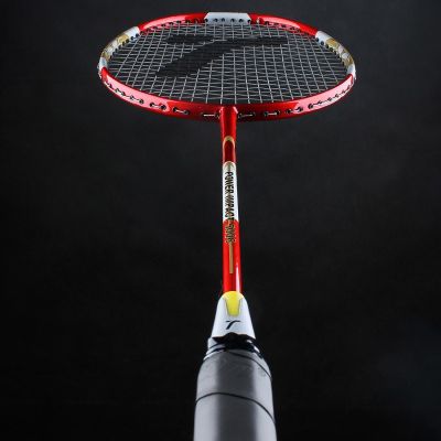 8. Techman Graphite 5006 T5006 Racket