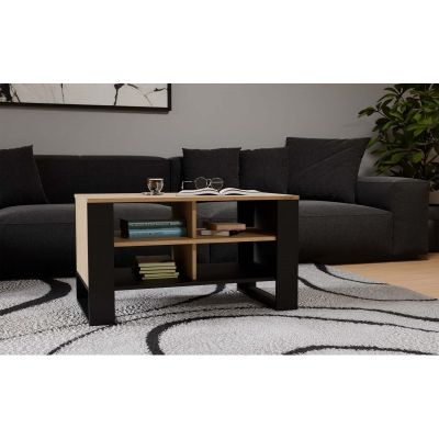 7. COFFEE TABLE MODERN 4P ARTISAN BLACK LEG