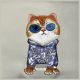 3. Nimmy Crossbody Glasses Cool Cat Shoulder Bag - Gray