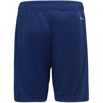 8. Adidas Tiro 23 League Training Jr HS0321 shorts