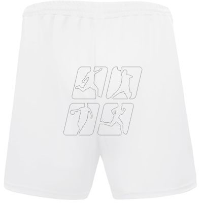 3. Joma Short Treviso shorts 100822.200