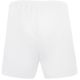 3. Joma Short Treviso shorts 100822.200