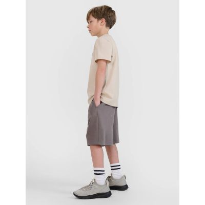 3. Boys' sweatpants 4F 4FJRSS25TSHOM684-23S