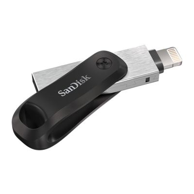 10. SanDisk iXpand GO SDIX60N-128G-GN6NE pendrive (128GB; Lightning, USB 3.0; silver color)