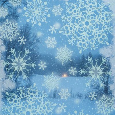 5. WINDOW STICKER 30x42 CM