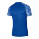 2. Nike Dri-Fit Academy SS M DH8031-463 T-shirt