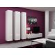 10. VIGO full display cabinet '180' 180/40/30 white/white combination