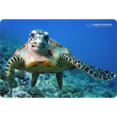 7. Esperanza Photo Mix Mouse Pad EA133