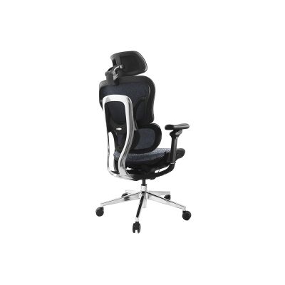 2. Equipment: Ergonomic office chair + headrest/armrests blue/solid Retail