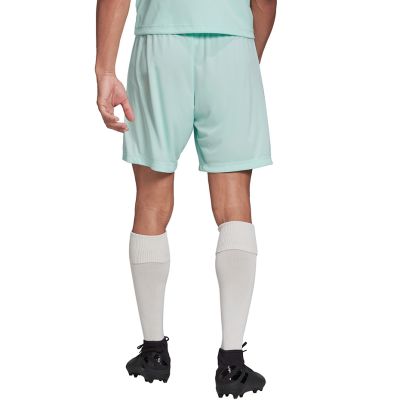 10. adidas Entrada 22 M HC5051 shorts