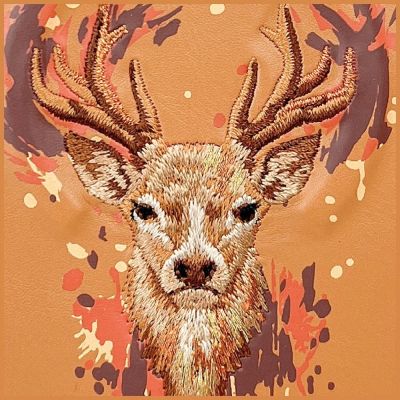 6. Nimmy Jeleń MagSafe case for iPhone 17 Pro Max - orange