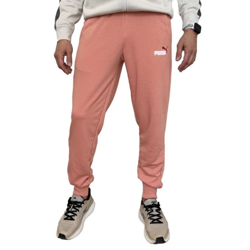 14. Puma Ess+ 2 Col Logo Pants M 586768 62