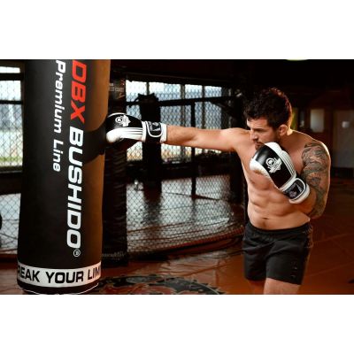 3. 10oz Boxing Gloves - Edge - Valor Series