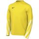 Nike Dri-Fit Park V Stadium Kids' Jersey Yellow HV8318 718