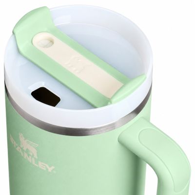 6. Stanley Quencher H2.O Flowstate 1.18L Pistachio Thermal Mug