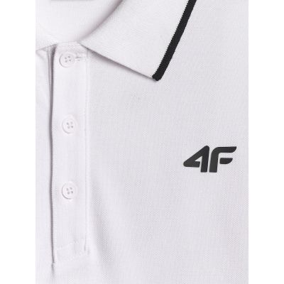6. Men's regular polo shirt 4F 4FRMM00TPTSM0940-10S