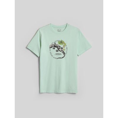 5. Men's regular printed T-shirt 4F 4FKAW26TTSHM4474-47S